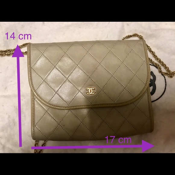 Chanel Wallet on Chain Cross Body CC Bag - Picture 11 of 12